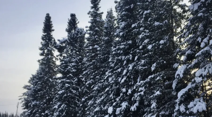 A Cold And Crisp Winter Day In Eagle River