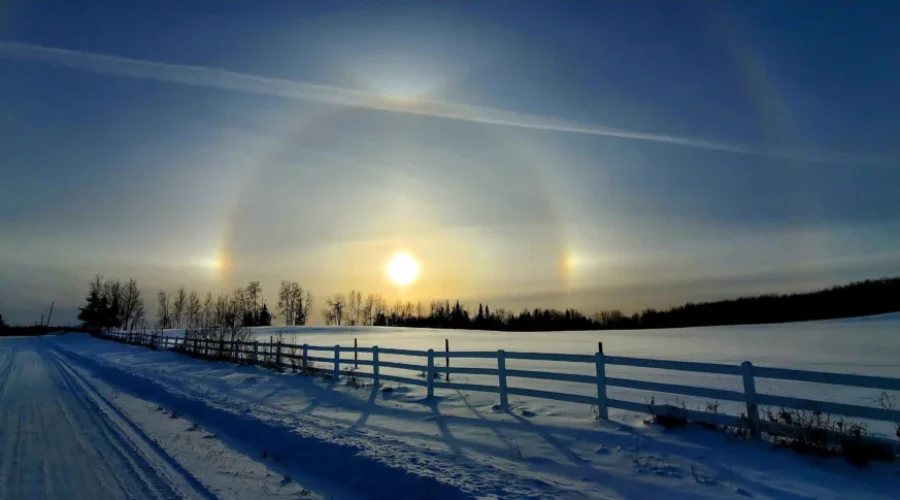 Oxdrift Sundog