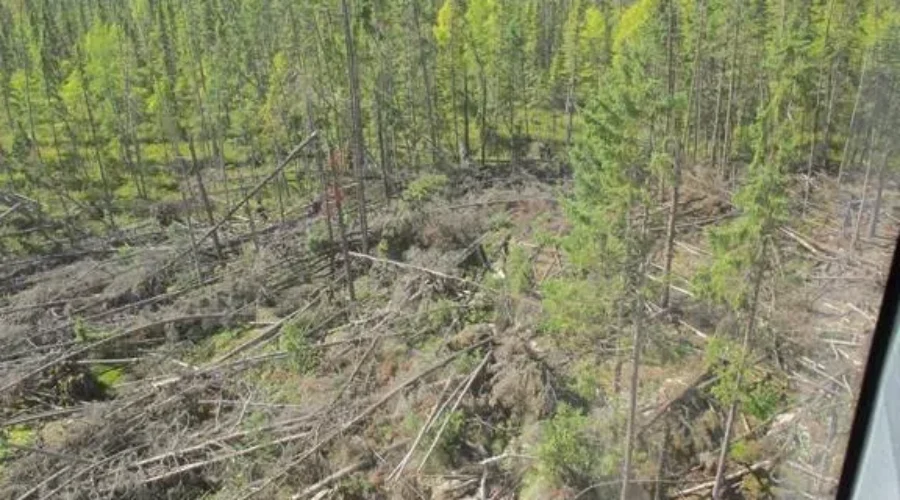 New tornados identified in northwestern Ontario