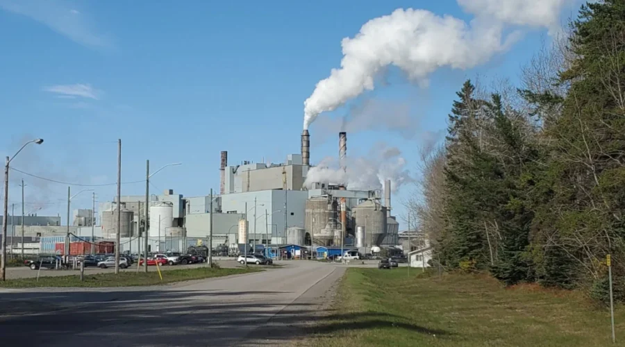 Pulp prices put mill into “warm idle”