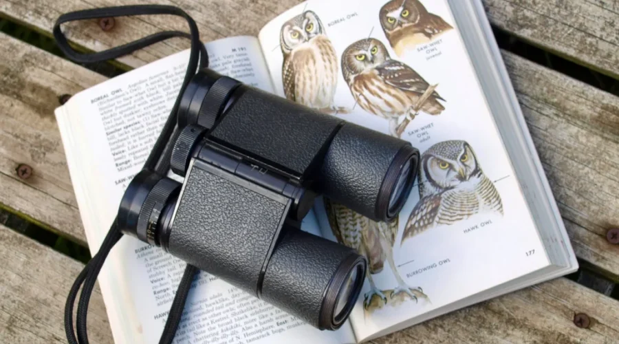 S8wI7myzAjE-scaled-1 Great Backyard Bird Count starts Friday