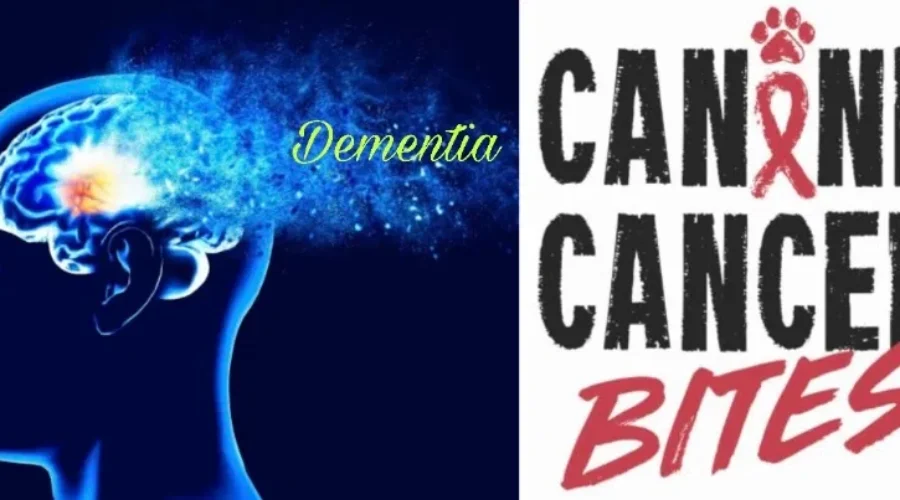 gofund-1 Making Lives Better Together