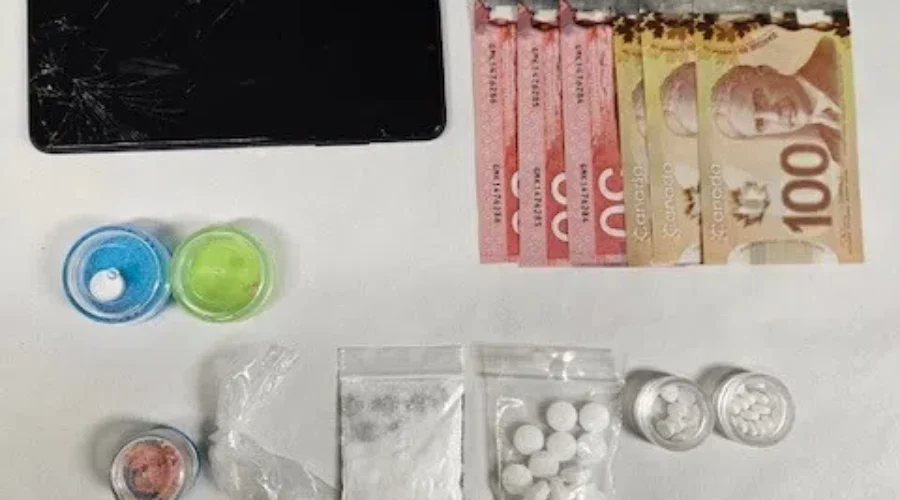 Traffic stop leads to drug charges