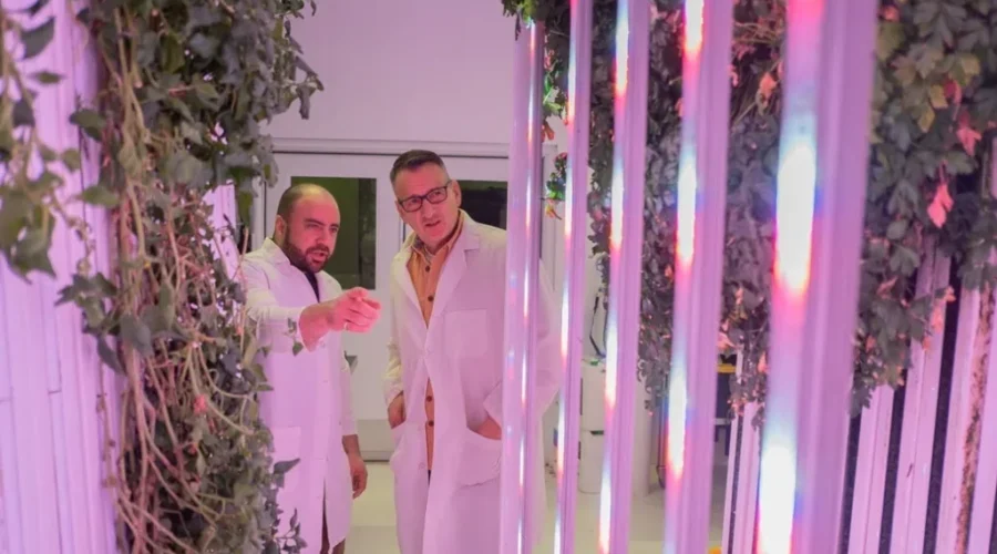 Funding to support agriculture and arts in Dryden