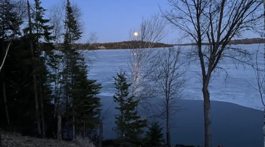 Pink Full Moon Over Lake Wabigoon