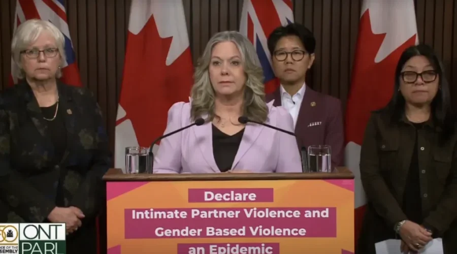 screenshot-2024-04-10-222103 Ford government shows initial support to NDP proposal