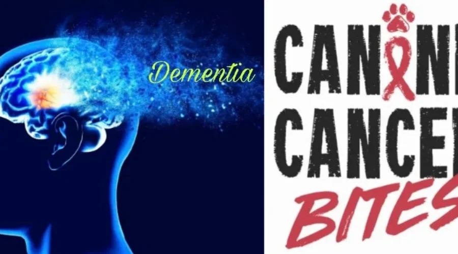 Making Lives Better Together