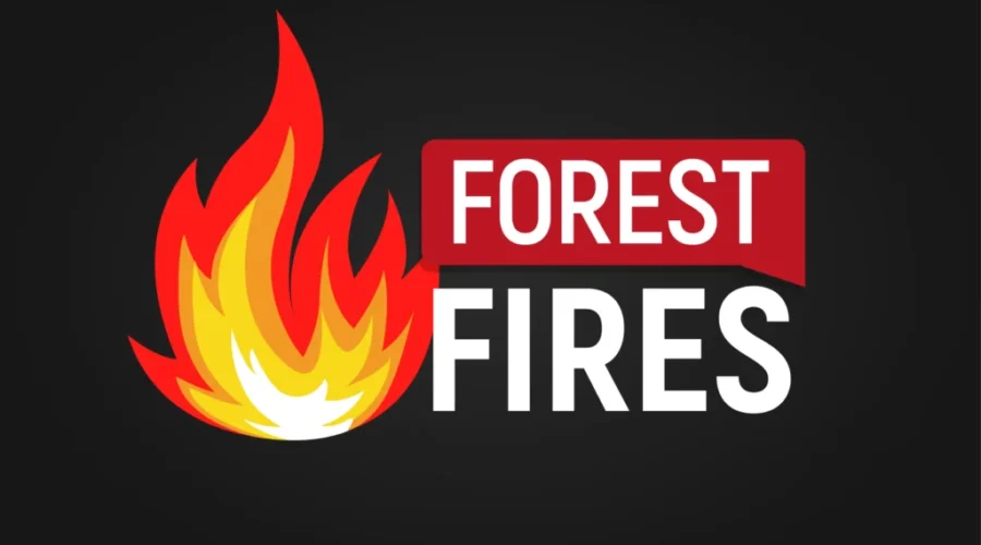 Forest Fire Map & How to Report