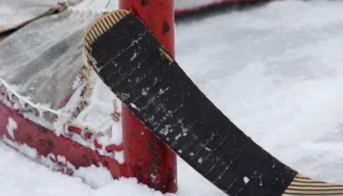 hockey_stick_puck_and_net_2439-2