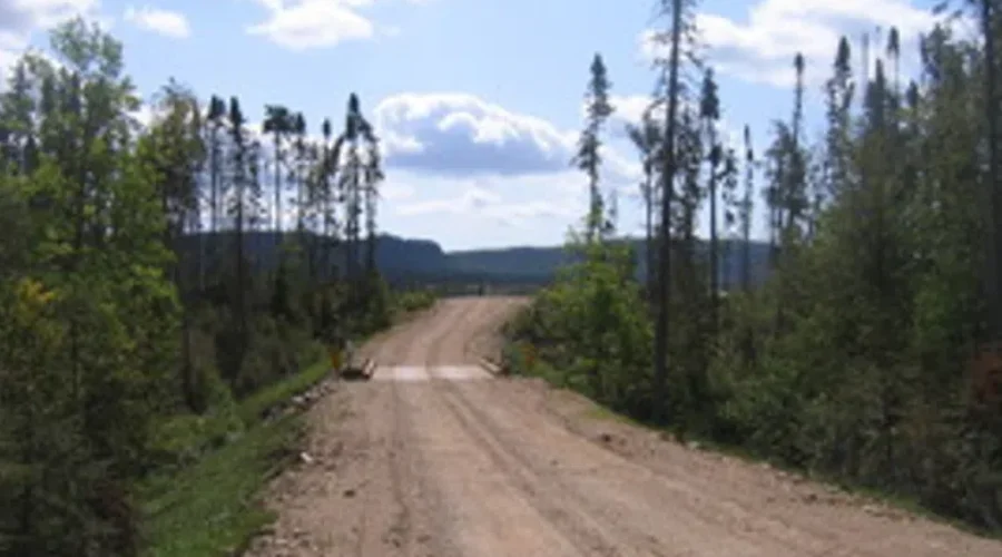 Forest access roads to get an extra $6 million