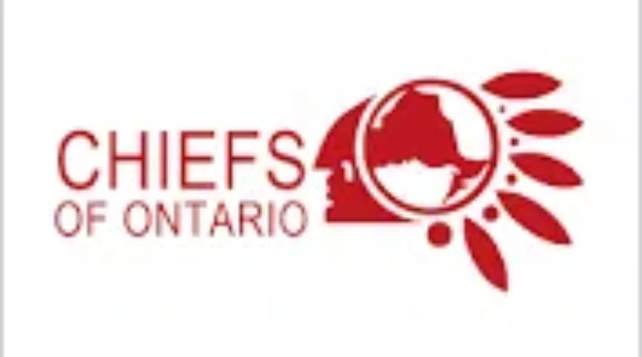 Benedict elected as new Ontario Regional Chief