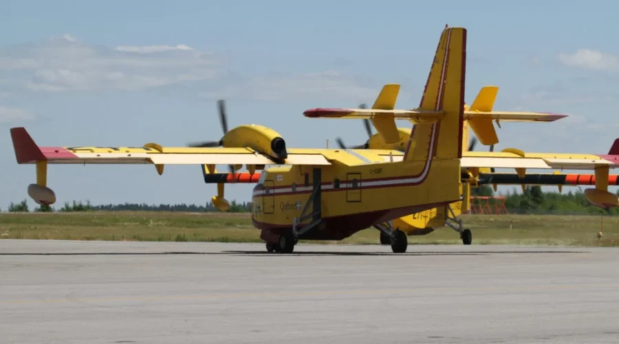 Rain dampens forest fire hazard