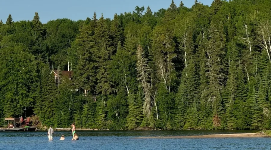 Sandy Point – Red Lake Area