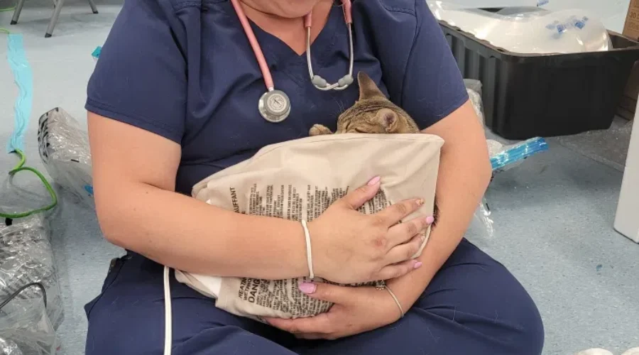 Lac Seul First Nation hosts animal clinic with Ontario SPCA