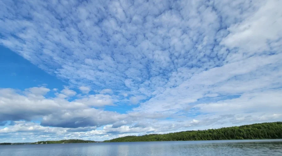 The view from Moosehorn Lodge