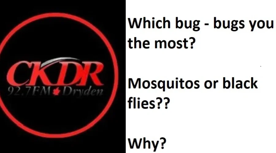 What’s The ‘Buzzzzzzz’?!