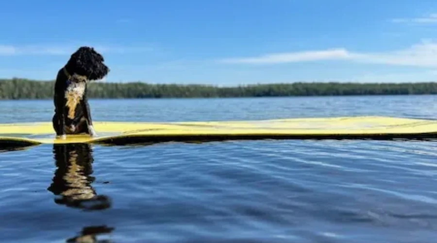 ‘Chillin’ Out on Red Lake