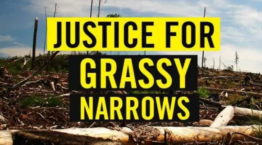justice-for-grassy-narrows-copy Caravan from Grassy Narrows aims for Toronto