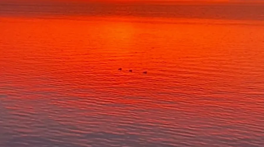 pelican-lake Pelican Lake