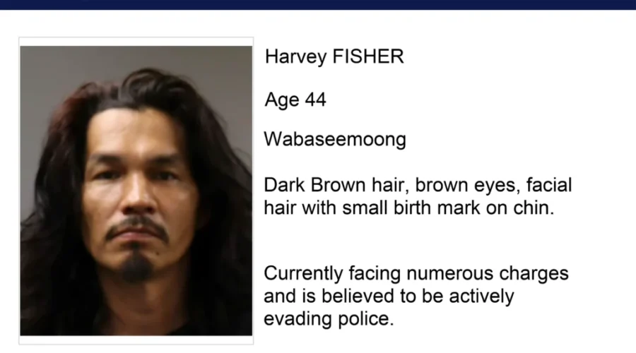 Police search for Wabaseemoong suspect