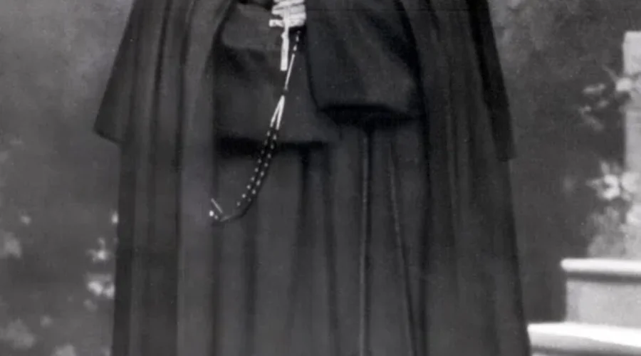 mere-marie-leonie Canadian Marie-Leonie Paradis named a Saint by Pope Francis.