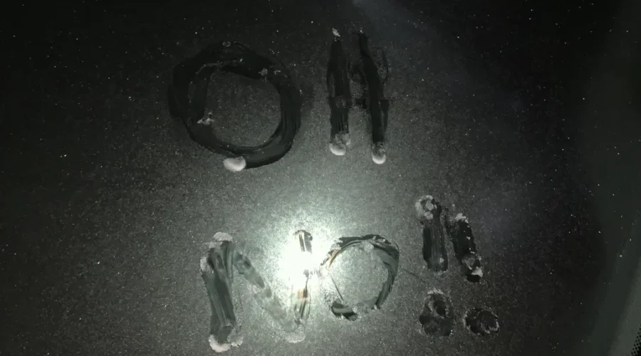 oh-no-frosty Oh For Frost Sakes!!