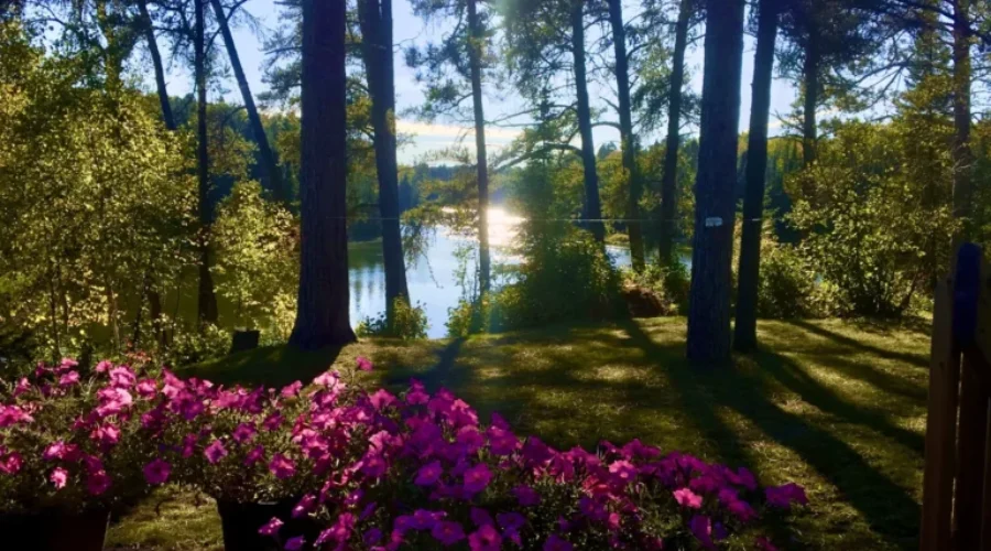 Eagle River – Before the Snow