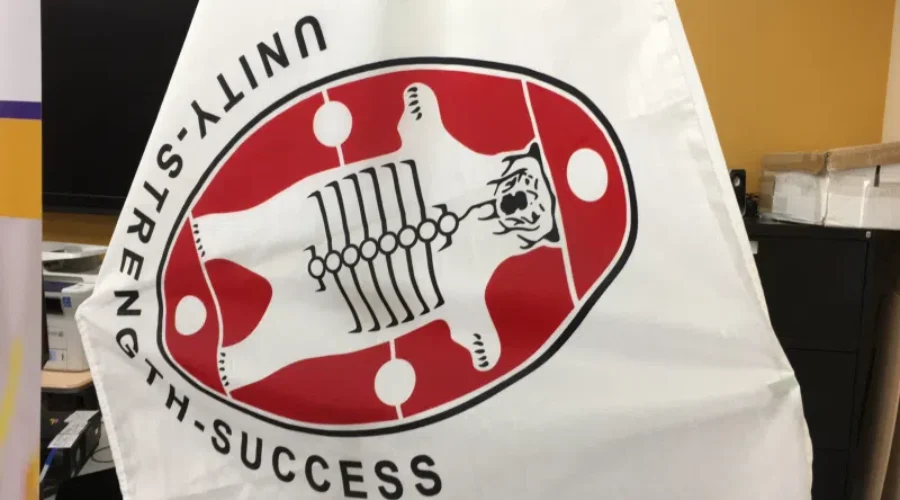 NAN applauds “historic” reform of child and family services