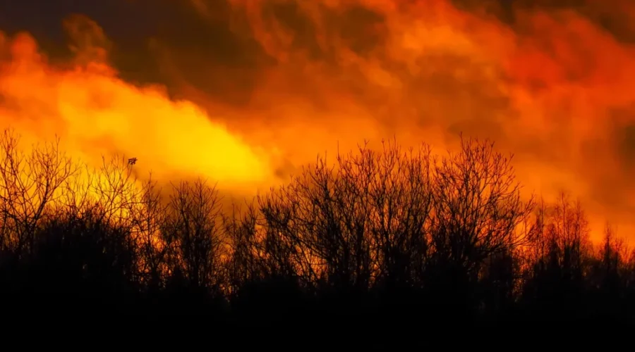 Canada sending firefighters to support California wildfire efforts