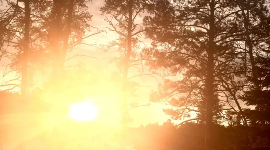 Brilliant Winter Sunshine – Eagle Lake