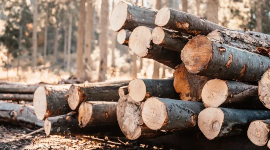 NOMA demands action on softwood lumber tariffs