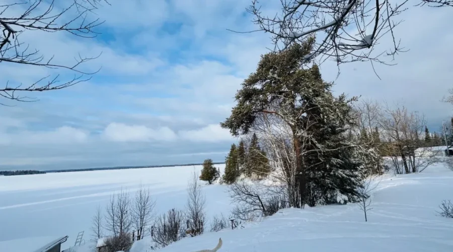 Morning Walkabout – Wabigoon Lake Area