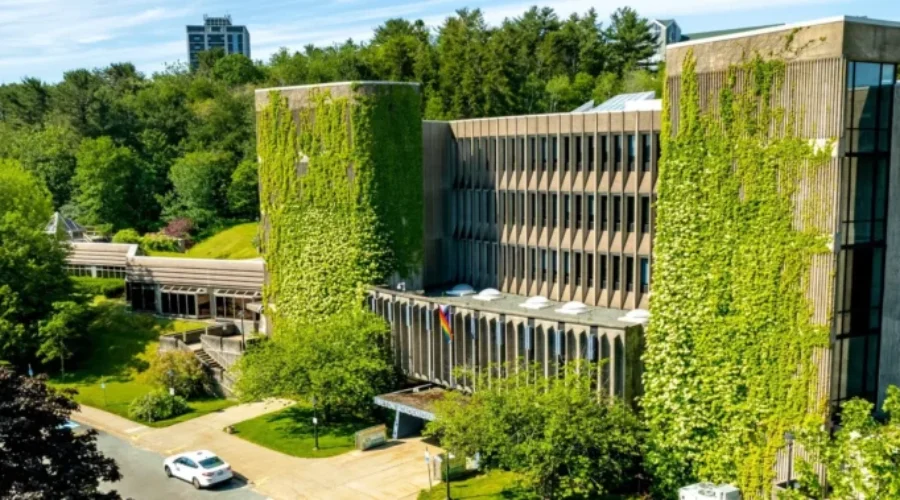 msvu-facebook-scaled-1 Canadian university professors warned against going to U.S.