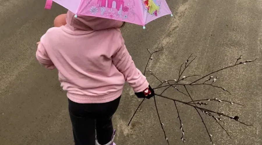 visitor-from-winnipeg-journey-finds-a-fun-activity-to-do-regardless-of-the-weather-in-sunset-country-pussy-willow-hunting-photo-submitted-by-connie-calvert A Visit To Sunset Country