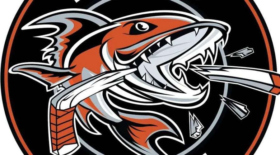 Kam River loses final round robin game at Centennial Cup