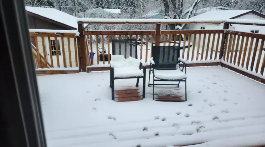 Sorry Not Sorry – It’s Canada Eh!