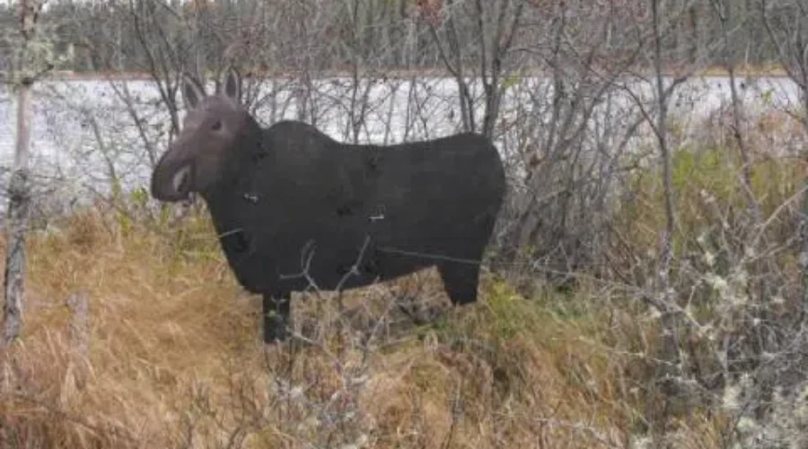 moose-decoy Two men fined for shooting decoy near Nestor Falls
