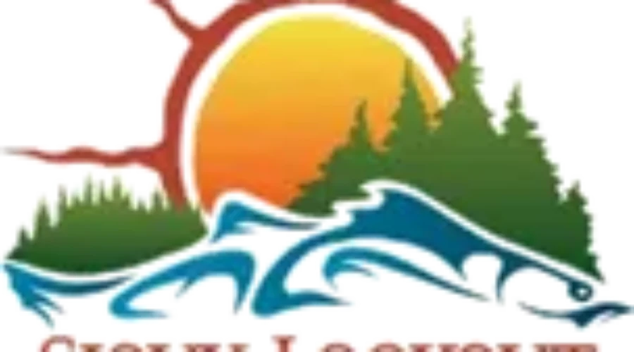 Bear Sighting in Sioux Lookout