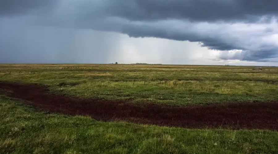 48598361696_c0c6d1c056_b Severe thunderstorm watch for parts of NWO