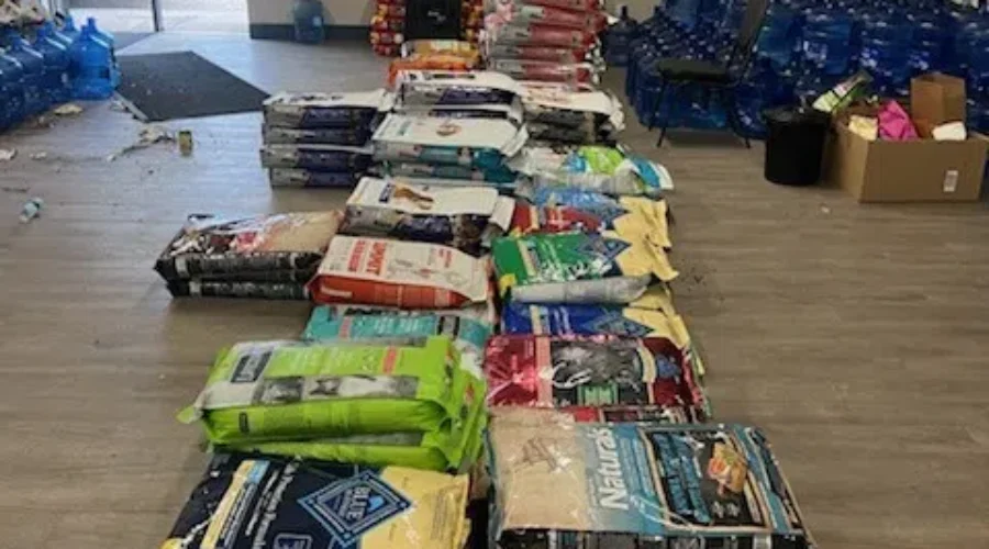 dog-food OSPCA called into help during wildfire evacuations