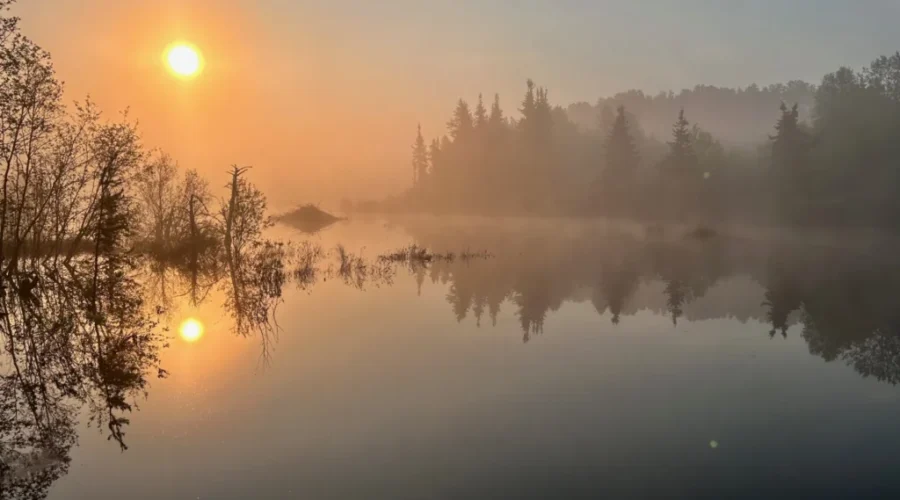Foggy Sunrise