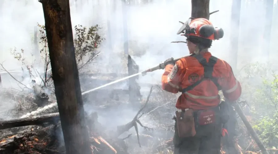 forest-fire-crew-member-spraying-water Forest fire hazard eases