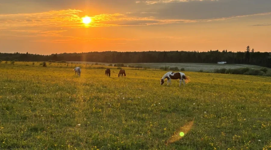 “The Life I Get to Live”