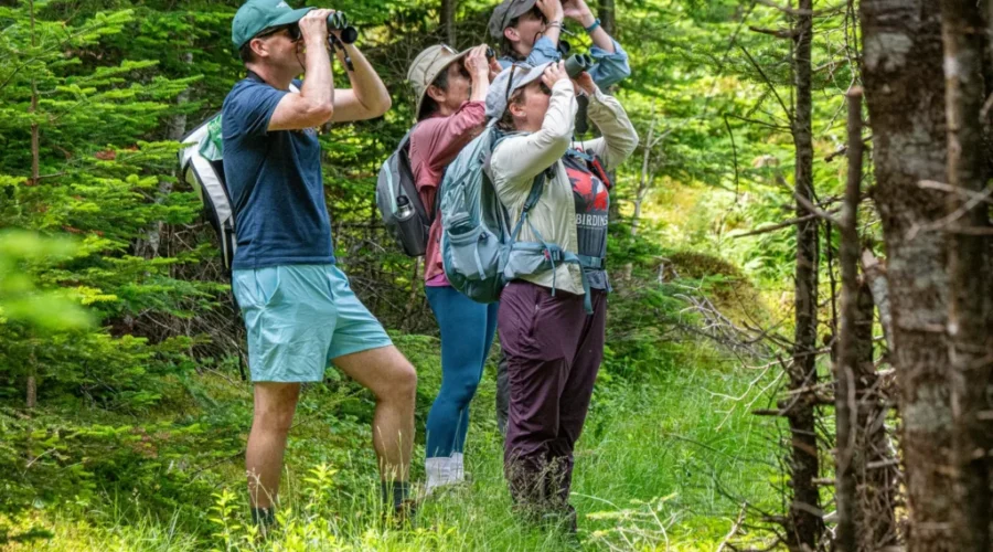 participants-in-2023-ncc-backyard-bioblitz-photo-dennis-minty National wildlife survey expands to full week