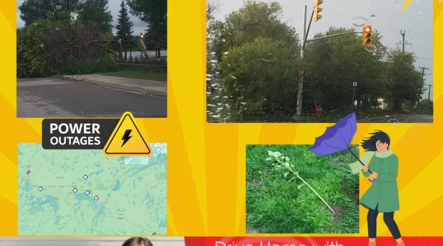 Downed Trees, Spun Stop Lights & No Power? Oh My!