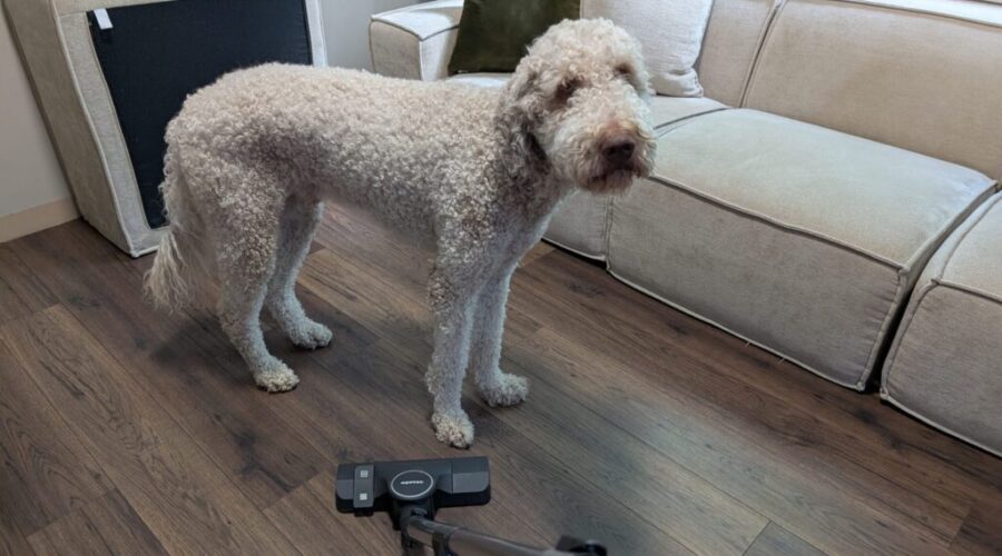 Mack cleaning day Cleaning day (a tragedy)