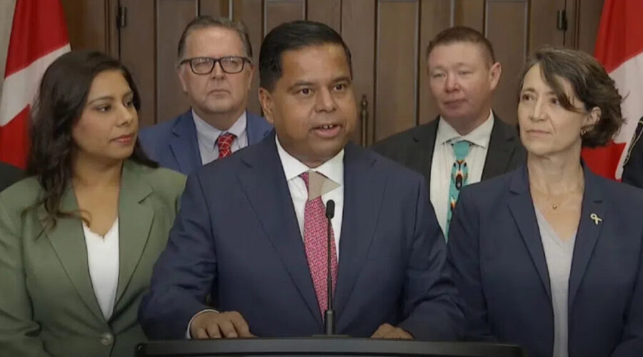 guns 2 New border security bill tabled after broad criticism