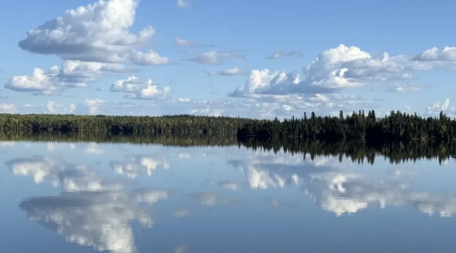 Reflection Perfection