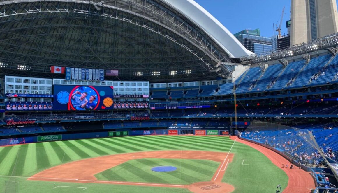 blue jays