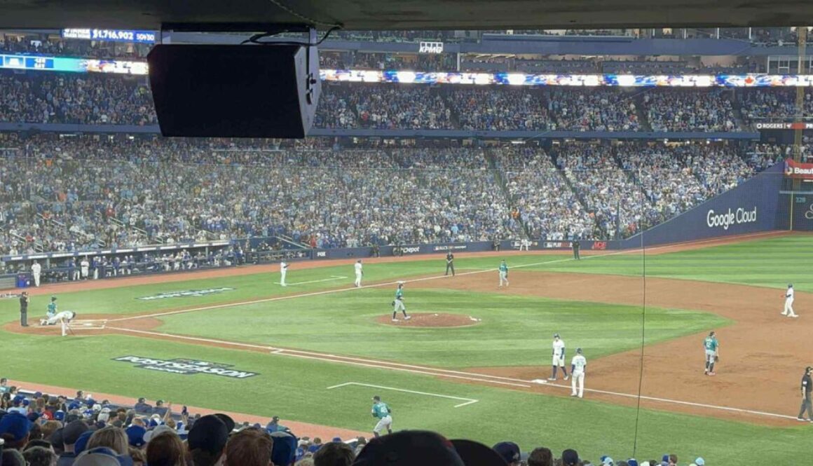 blue jays 2 jpg